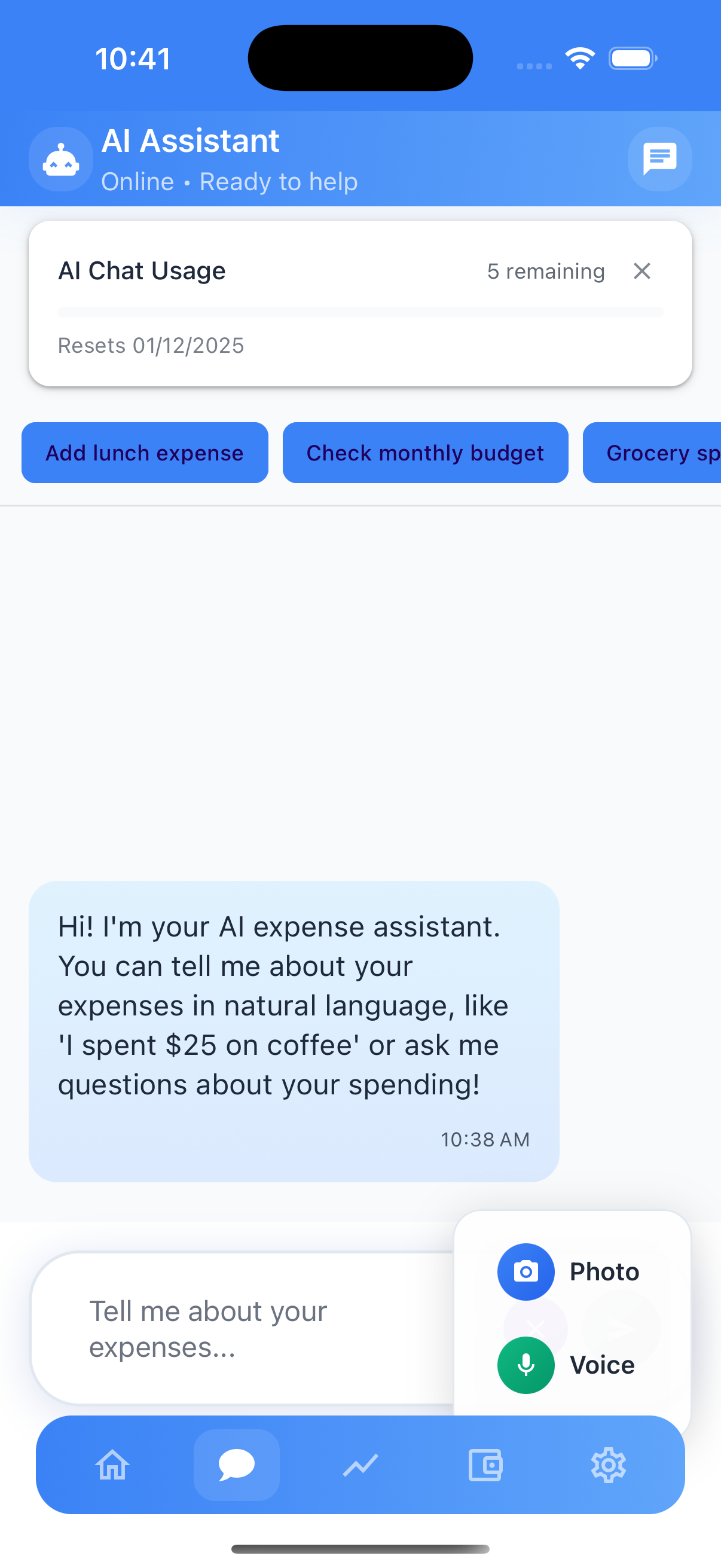 Voice and photo input for expenses